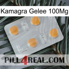 Kamagra Jelly 100Mg 24